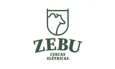 Zebu